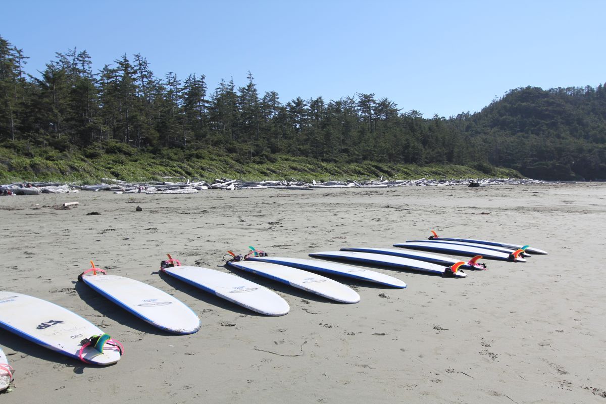 Vancouver Island Tour Summer Safaris Teen Travel